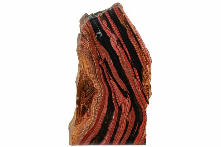Free-Standing Polished Tiger Iron Stromatolite - Ga #221781